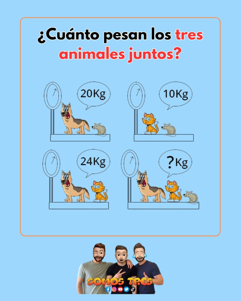 ¿Cuánto pesan los 3 animales juntos? ¡Solución!