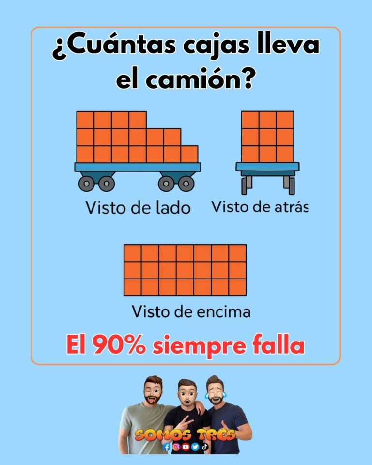 ¿Cuántas cajas lleva el camión?