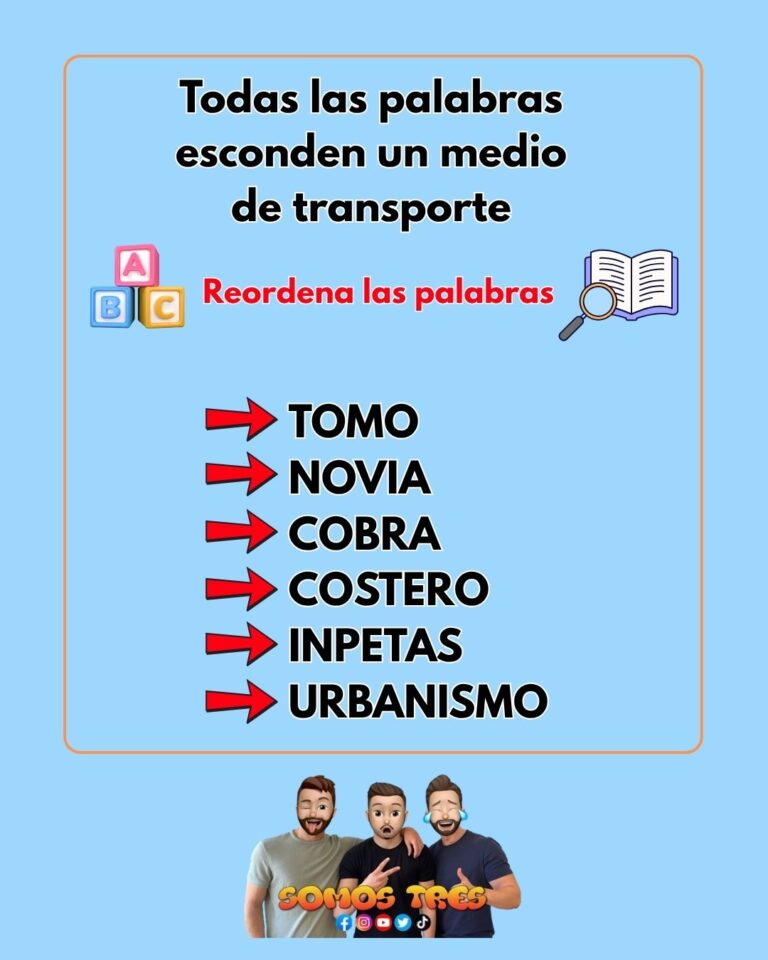 Reordena las palabras y descubre los transportes